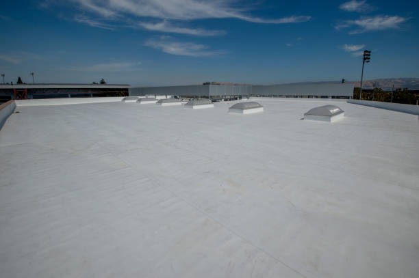 Best Hot Roofs  in Assumption, IL