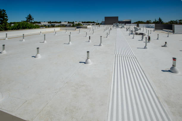 Best Solar Panel Roofing Installation  in Assumption, IL